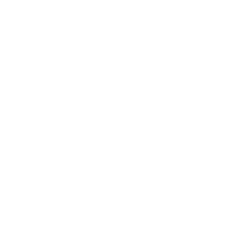 vipfacemasks